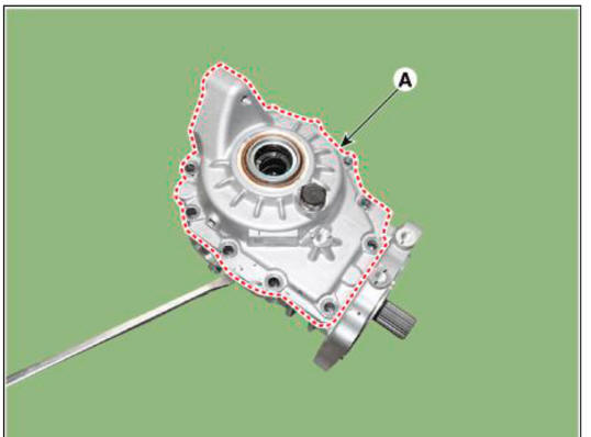 Differential gear assembly