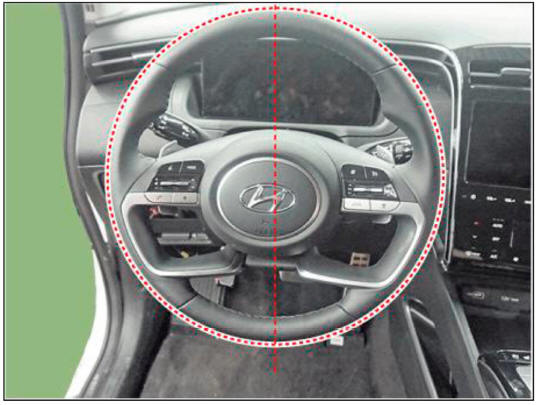 Steering Wheel Play Inspection